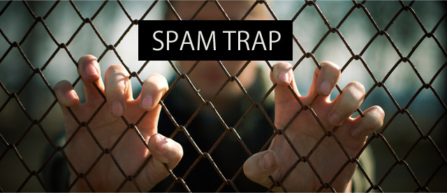 Spam trap