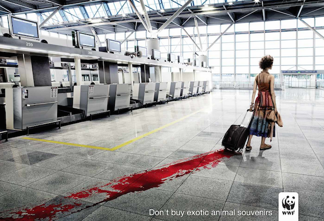 Shockvertising WWF