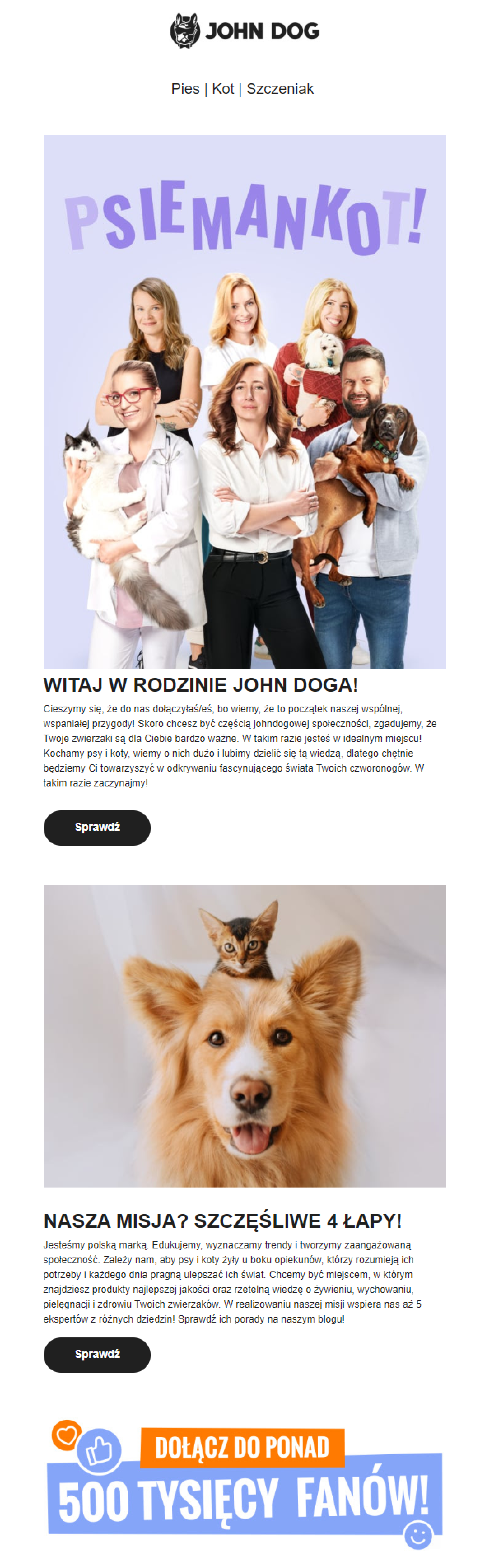 John Dog - newsletter